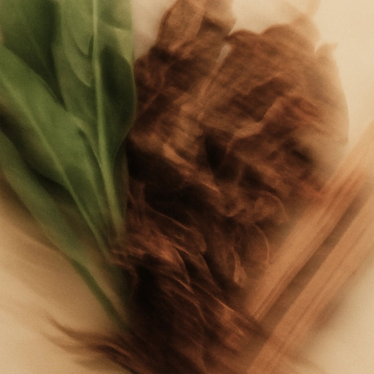 Fragrance